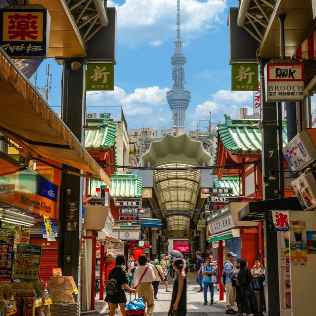 東京5日暴走攻略📸 日均2W步玩轉經典