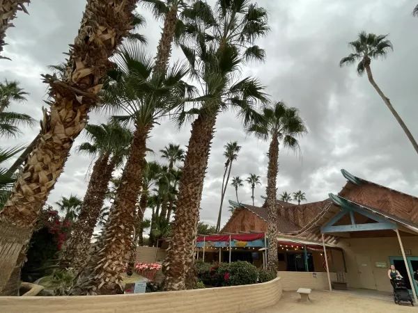 Explore the Phoenix Zoo