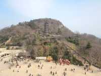 乙巳蛇年春節遊牛首山