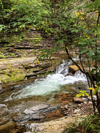 Autumn in Guyuan | 2-Day Itinerary to Enjoy the Beauty of Autumn