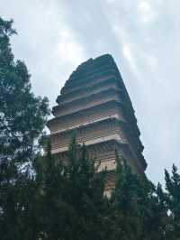西安兵馬俑-法門寺5日遊帶小孩玩轉古都西安