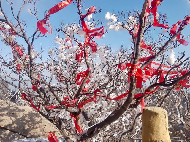嶗山巨峰霧凇|青島冬日限定仙境 嶗山巨峰霧凇|青島冬日限定仙境