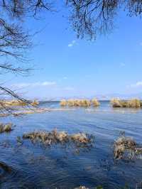 麗江-瀘沽湖-大理市4日遊 超詳細攻略助你玩得盡興