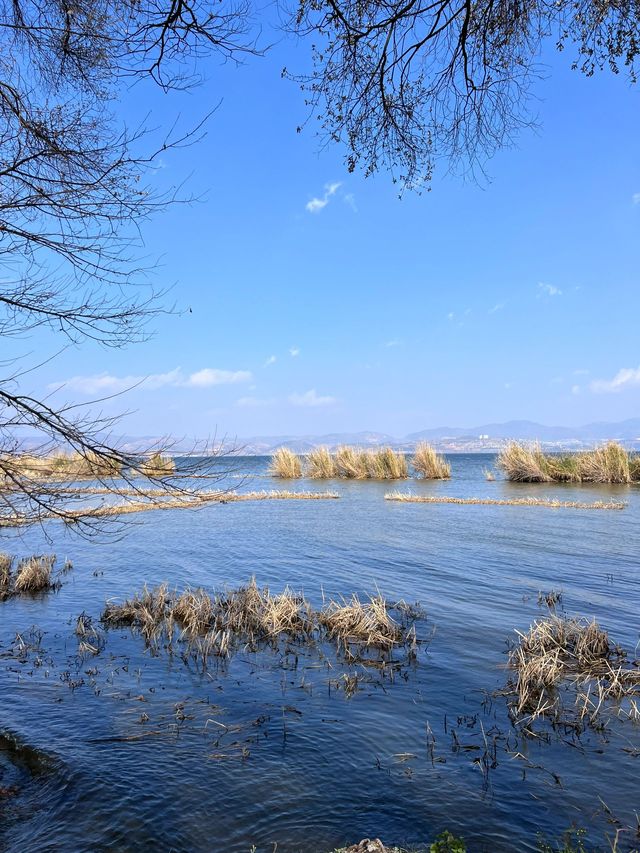 麗江-瀘沽湖-大理市4日遊 超詳細攻略助你玩得盡興