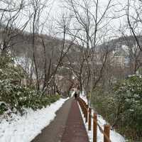 北海道冬日之旅：洞爺湖 登別地獄谷 深度游攻略