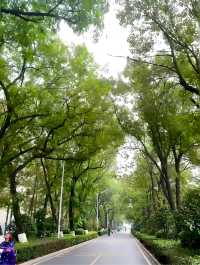 天門東湖公園