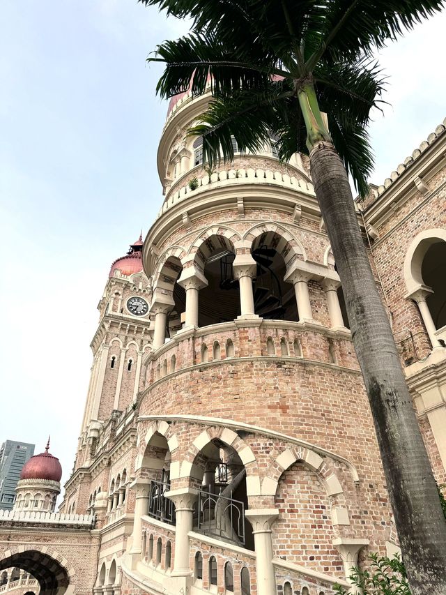 老年人新馬連遊 人均4k暢享無憂旅程