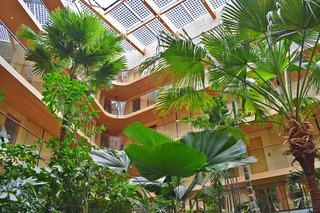 阿姆斯特丹Hotel Jakarta | 環保奢華體驗   酒店：Hotel Jakarta A