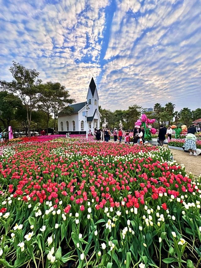 廈門園博苑植物園丨解鎖年味新玩法