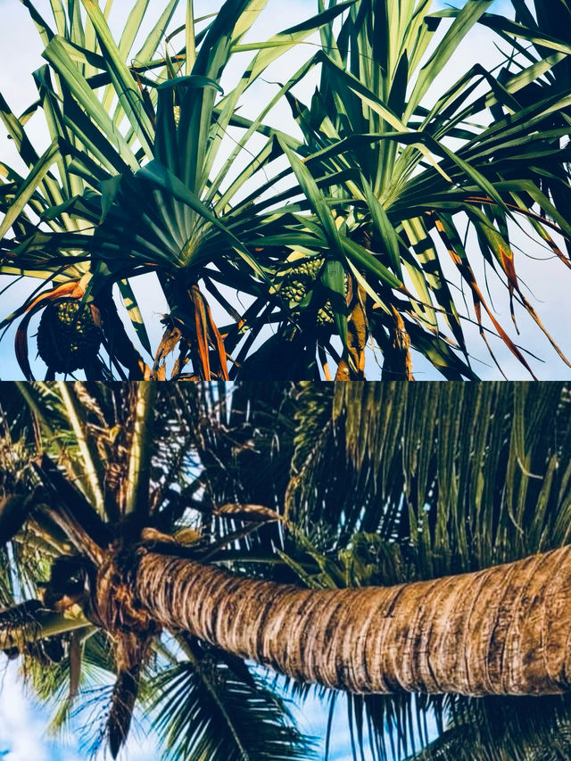在肯亞感受印度洋的海風吹拂_____蒙巴薩