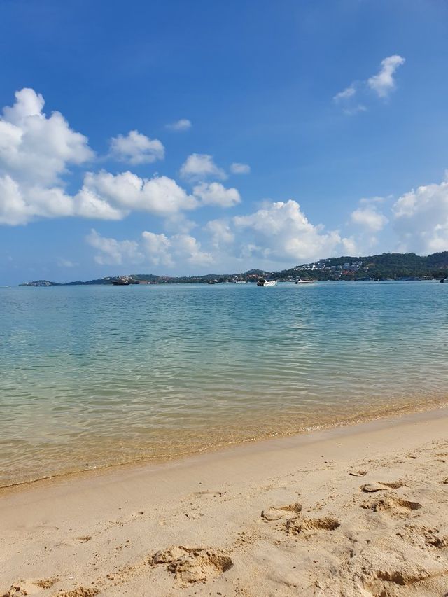蘇梅島｜普拉納度假酒店，高度推薦