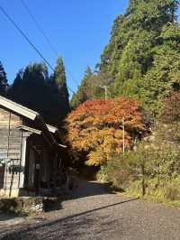 日本3日遊｜超詳細攻略 玩轉不回頭