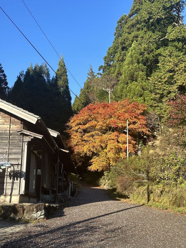 日本3日遊｜超詳細攻略 玩轉不回頭