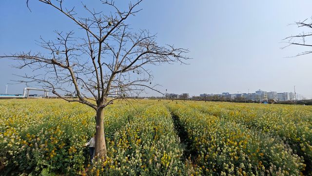 農業公園，大有可為