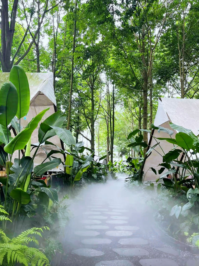 逃離都市！！週末搵個森林露營地玩下～