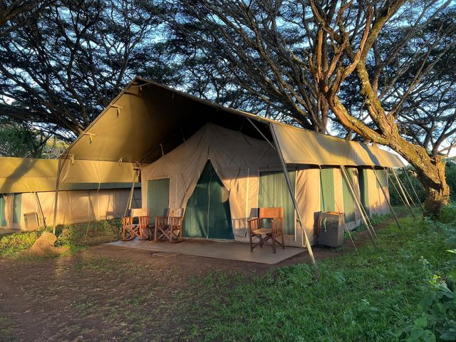 Lemala Ngorongoro Camp坦桑尼亞帳篷酒店