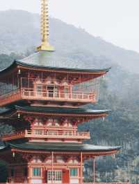 和歌山