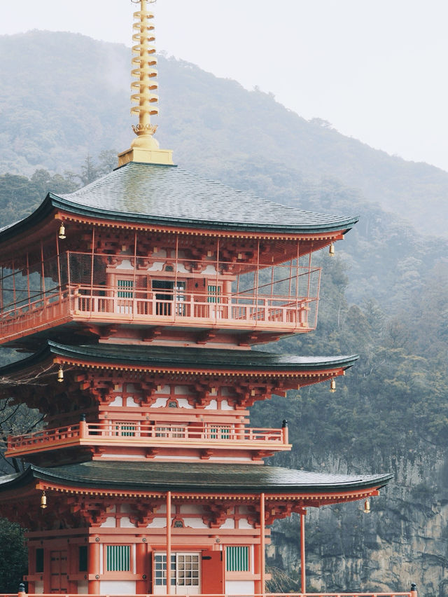 和歌山