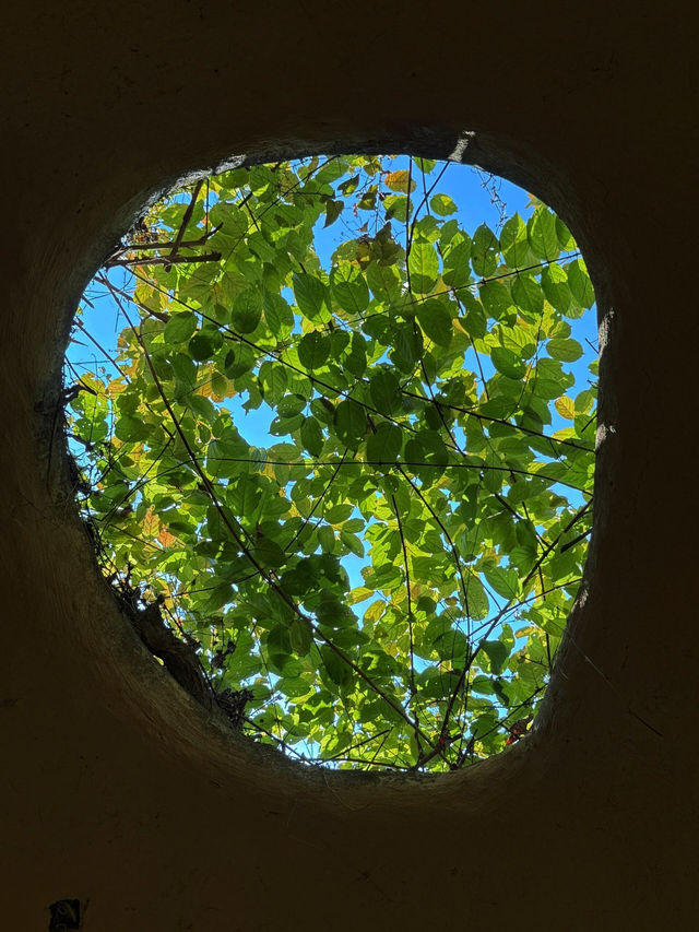 《深圳水土保持科技示範園之美》