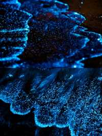 天津海邊藍眼淚,睇呢篇攻略就夠晒🫶🩷