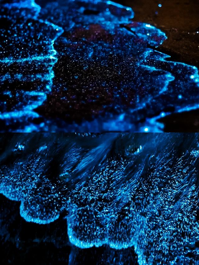 天津海邊藍眼淚,睇呢篇攻略就夠晒🫶🩷 天津海邊藍眼淚,睇呢篇攻略就夠晒🫶🩷