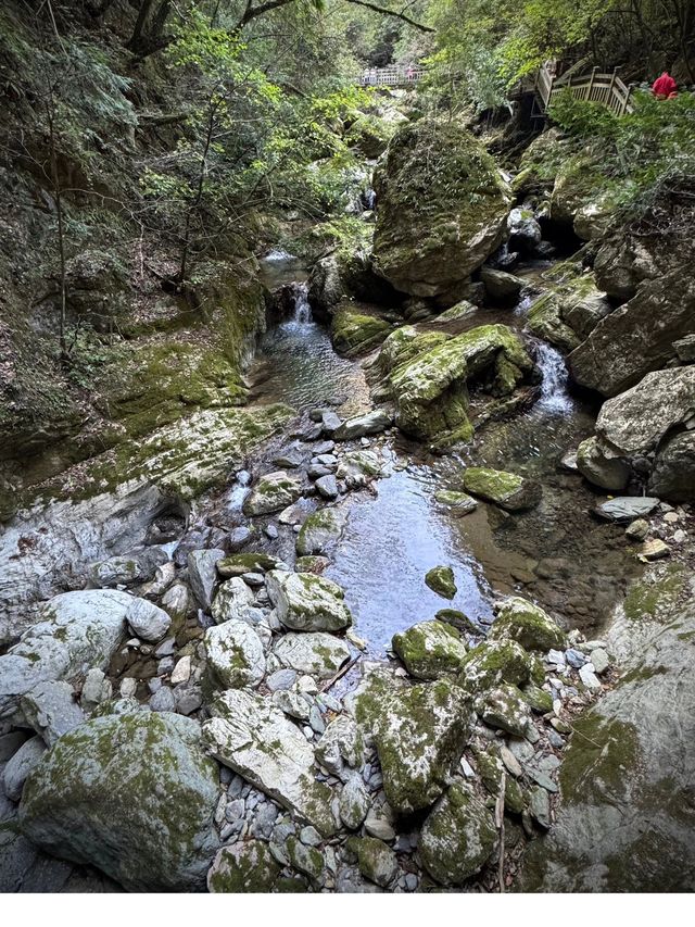 6天暢遊長江三峽 - 重慶 超詳細攻略和必玩清單