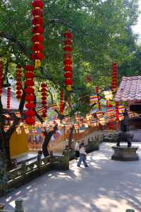 來杭州只能選擇一個寺廟｜我必須推薦法喜寺