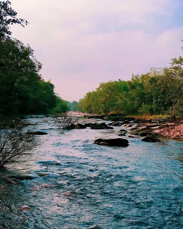 阿布加魯姆自然保護區（Abu Galum Nature Reserve）——紅海秘境探險之旅 