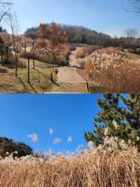 逃離人潮，邂逅始興：韓國小眾寶藏旅行地