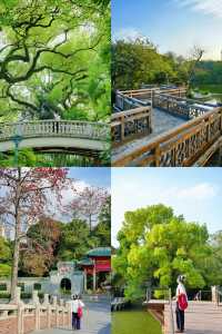 美哭！沒有哪個公園能比它更懂拿捏春和景明了
