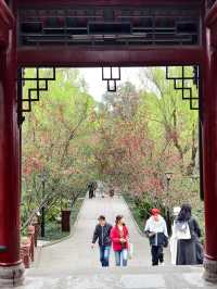 三月遊成都，別錯過這個滿園海棠的古風公園