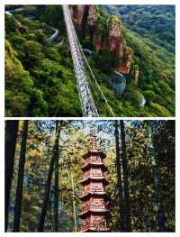 登山遠望：馬仁奇峰