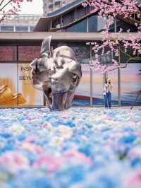 🌸上海櫻花必打卡路線