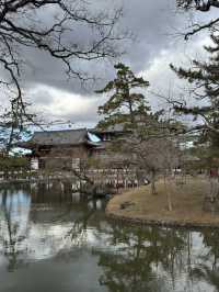 手向山神社：奈良的隱藏瑰寶⛩️🌸