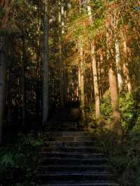 6天暢遊長沙-韶山-張家界 看這篇就夠別錯過