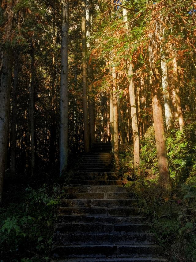 6天暢遊長沙-韶山-張家界 看這篇就夠別錯過