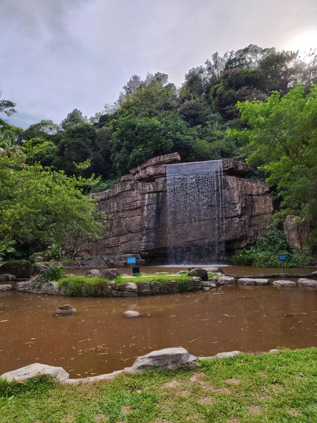 春日裡的東湖公園美得猝不及防