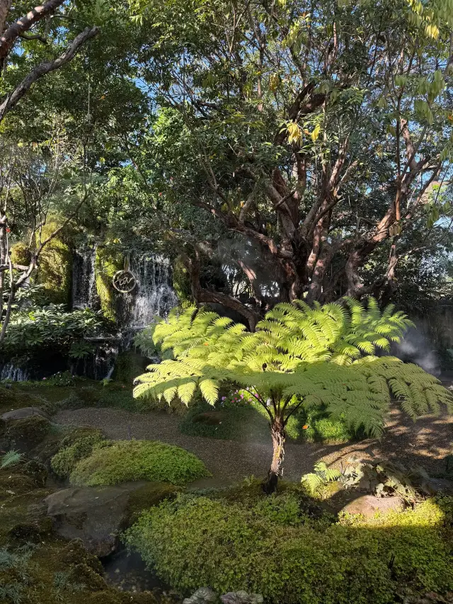 5-Day Visa-Free Trip to Thailand: Fly Direct and Travel with Ease