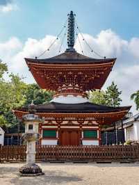 禪意與時光的交織：探訪天野山金剛寺