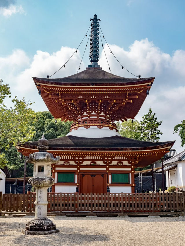 禪意與時光的交織：探訪天野山金剛寺