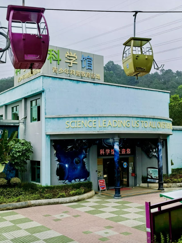 泉林中的歡樂夢境