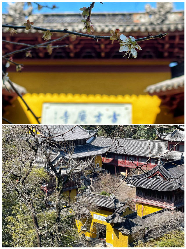 台州的隱藏玩法，竟然這麼多