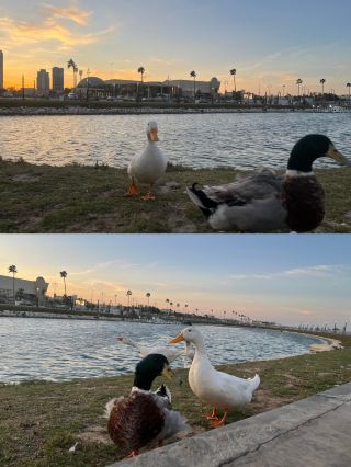 Dammam: A Sparkling Jewel on Saudi Arabia's Coast