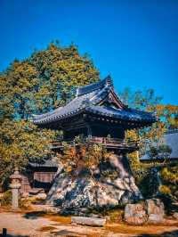 太宰府天滿宮，超級靈氣的學霸聖地✨