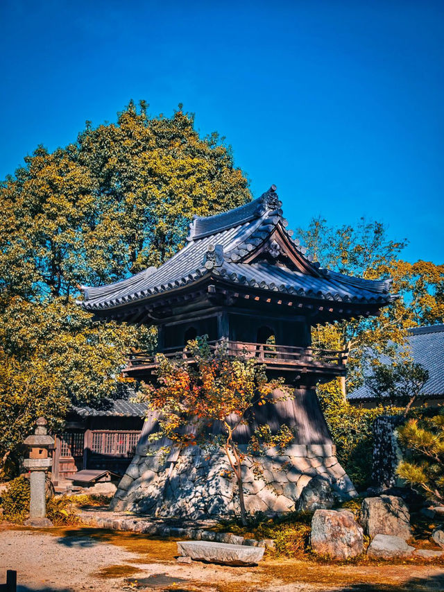 太宰府天滿宮，超級靈氣的學霸聖地✨
