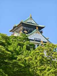 日本8天行走 告別遊客快活做自己
