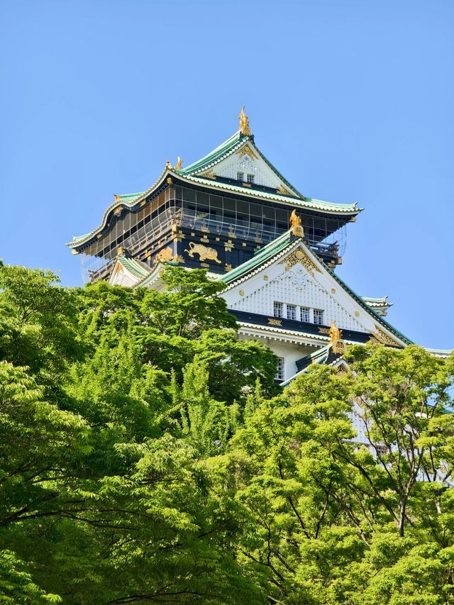 日本8天行走 告別遊客快活做自己