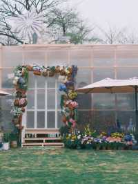 大運天地：繁花盛放的春天氛圍感，深圳蕞出片的公園