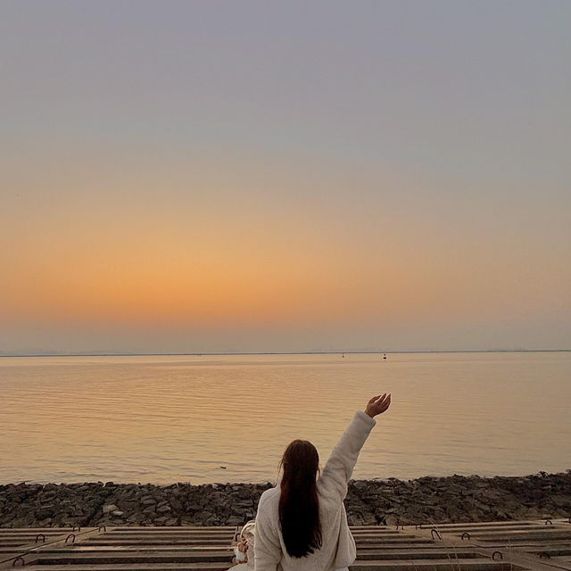 🌱清明來珠海，必留一天給橫琴✨