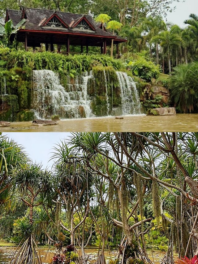 "身為遊客，園內有哪些必看的景觀或體驗活動？"
